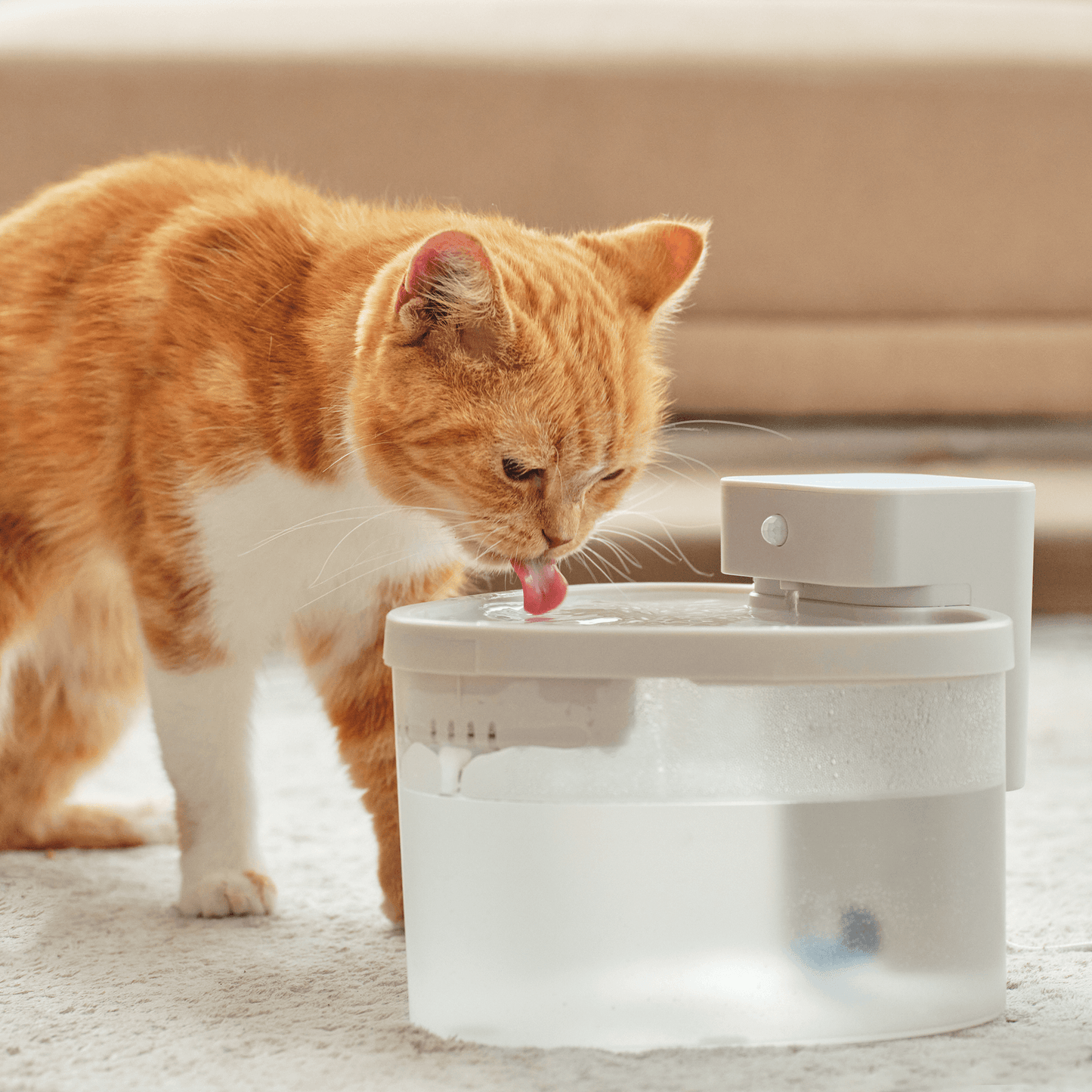 猫の水飲み器(PET用適温自動給水器)|温水に温めることが可能