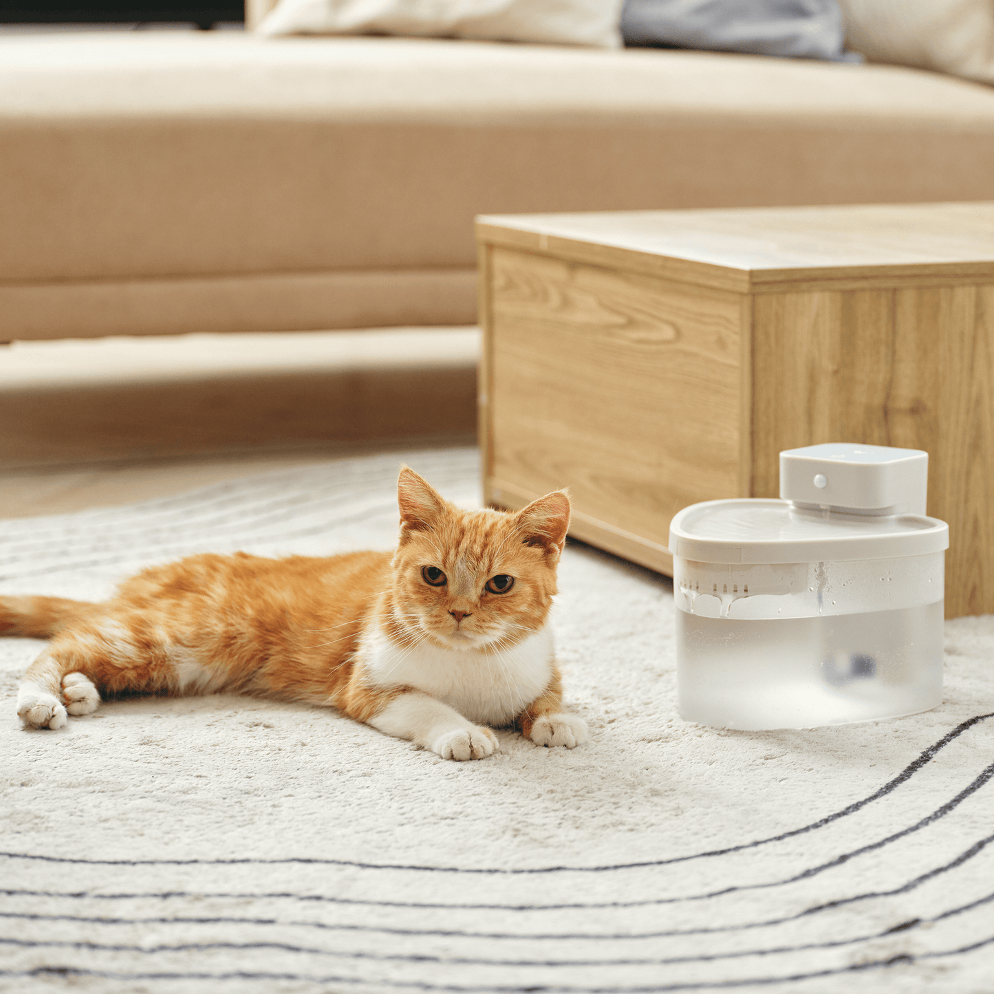 猫の水飲み器(PET用適温自動給水器)|温水に温めることが可能